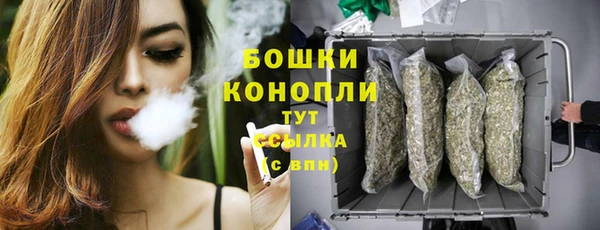 2c-b Богородицк